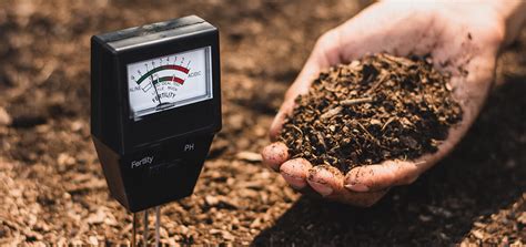 soil hardness test|soil health testing.